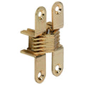 Hafele Gizli menteşe pirinç parlak 12x39mm - 1. görsel | Aras Ankastre